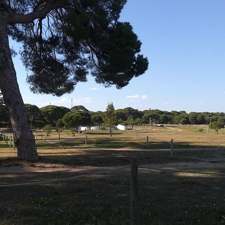 Beach Falesia Alfamar Albufeira Eksteriør billede