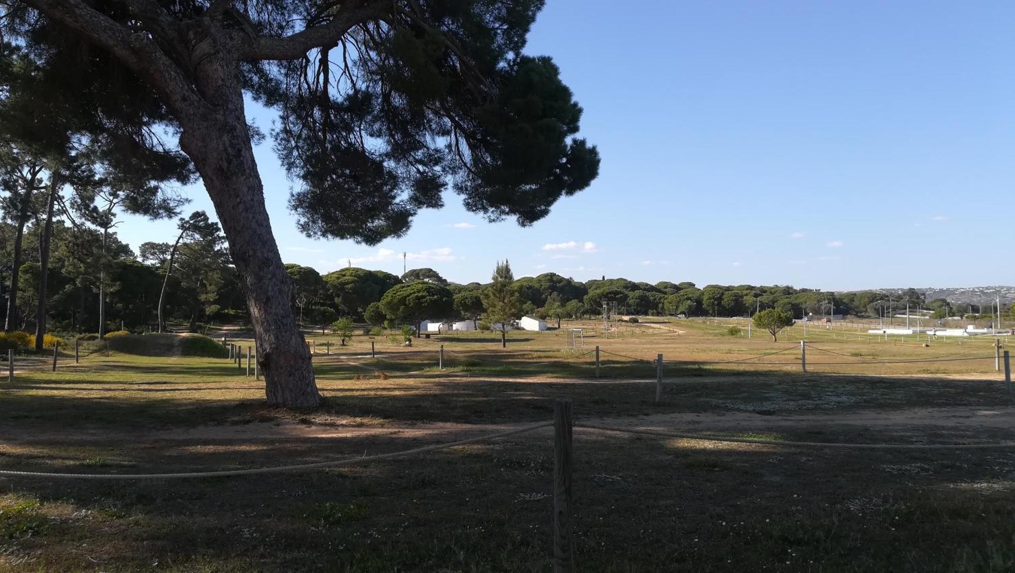 Beach Falesia Alfamar Albufeira Eksteriør billede